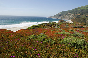 Tranquil seaside, Big Sur, Monterey, California