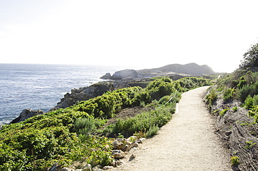 Empty path along coast, Big Sur, Carmel, California