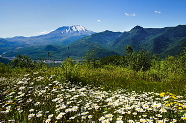 Mount St Helen's, Mount St Helen's, Washington, USA