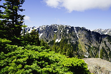 Mountain view, USA, Washington, Olympic Penninsula