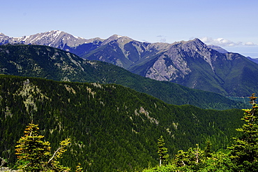 Mountain view, USA, Washington, Olympic Penninsula