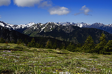 Mountain view, USA, Washington, Olympic Penninsula