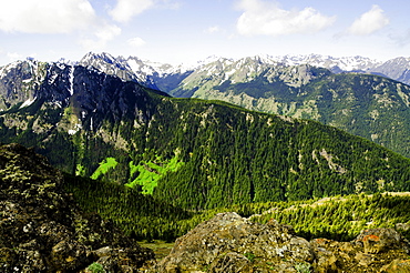 Mountain view, USA, Washington, Olympic Penninsula