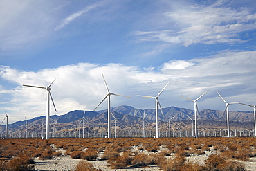 Landscape with wind turbines, Palm Springs, California