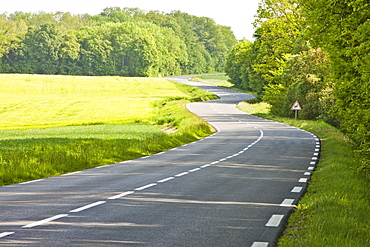 France, Rocroi, Road among green fields, France, Rocroi