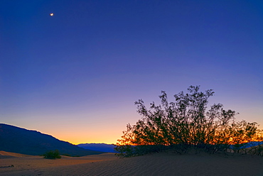 Sunset with moon, Mesquite Dunes, Mesquite Dunes, California, USA