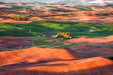 Farm on wheat field, Palouse, Washington