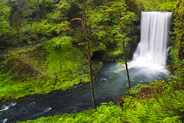 Lower North Falls, Lower North Falls, Oregon