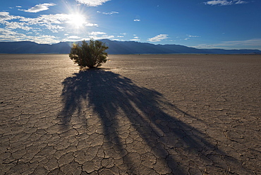 Alvord Desert at sunset, Harney County, Oregon