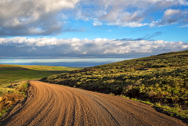 Dirt road and fields, Steen’s Mountain, Oregon