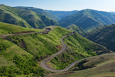 Mountain road, Asotin County, Washinton