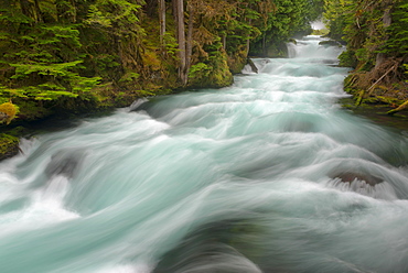 McKenzie River, Linn County, Oregon