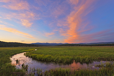 Strawberry horse at sunset, Deschutes County, Oregon