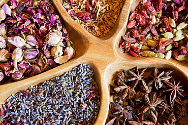 Close-up of dried flowers