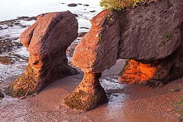 Hopewell Rocks at sunrise, New Brunswick, Canada