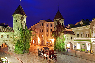 Horse cart on street at night, Estonia