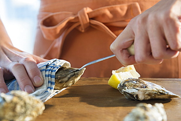 Woman shucking oysters