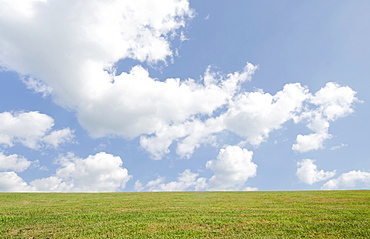 Field of grass and sky, New Jersey, USA