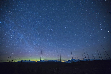 Scenic view of night sky with aurora borealis, Montana, Glacier National Park