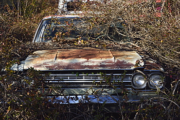 Old abandoned rusty car in bushes, Rural Georgia