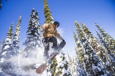 Snowboarder in mid-air against snowy trees, Whitefish, Montana, USA