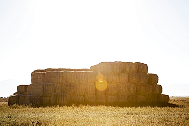 Stack of bales in field, Colorado, USA