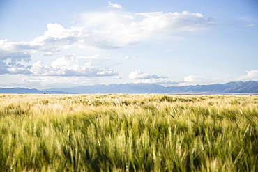 Scenic view of landscape