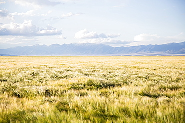 Scenic view of landscape, Colorado, USA