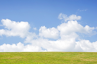 Scenic view of landscape, New Jersey, USA 