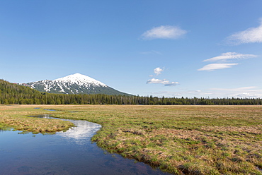 View of snowcapped Mount Bachelor, USA, Oregon, Mount Bachelor