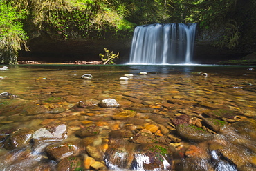 View of Butte Creek Falls, USA, Oregon, Marion County, Butte Creek Falls