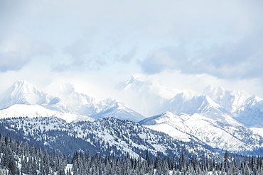 Landscape with mountains and forest in winter, USA, Montana, Glacier National Park