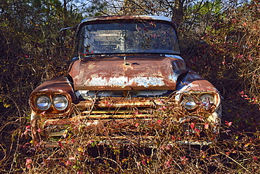 Abandoned rusty car in field, USA, Georgia