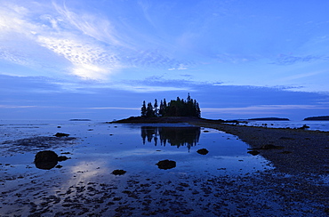 Low tide at Owls Head at dawn, USA, Maine, Penobscot Bay