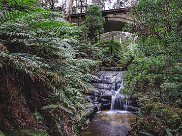 Australia, New South Wales, Blue Mountains National Park, Leura Cascades, Bridge over waterfall in forest