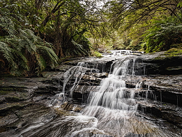 Australia, New South Wales, Blue Mountains National Park, Leura Cascades, Waterfall in forest