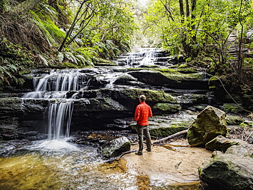 Australia, New South Wales, Blue Mountains National Park, Leura Cascades, Young man standing by waterfall in forest