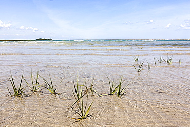 Beautiful ocean landscape