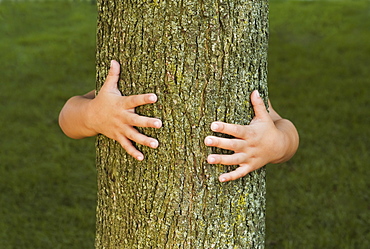 Person hugging tree