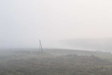 Ukraine, Dnepropetrovsk region, Novomoskovsk district, Electricity pylon standing in foggy field