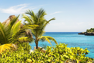 Jamaica, Negril, Palm trees against seascape