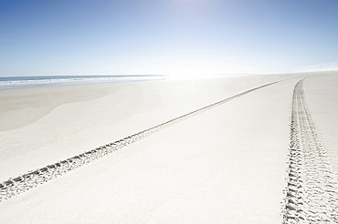 Tire tracks on empty beach