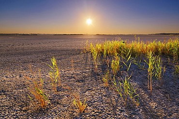 Ukraine, Dnepropetrovsk Region, Novomoskovskiy District, Lake Soleniy Lyman, Desert at sunset