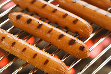 Hot dogs cooking on grill