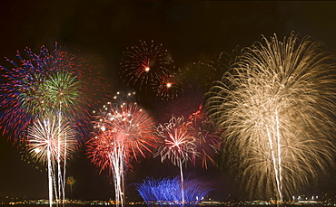 Fireworks in night sky