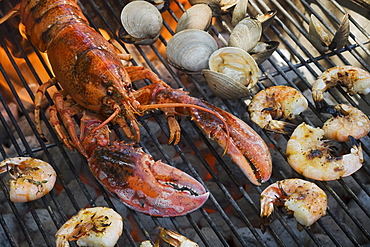 Lobster, shrimp and clams cooking on grill