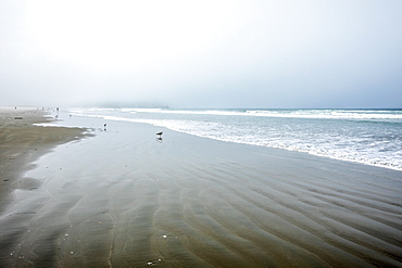 Beach in Morro Bay, California, USA