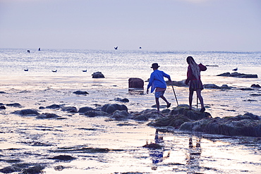 Children exploring tide pools in La Jolla, California