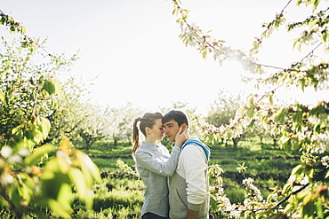 Young couple embracing by trees