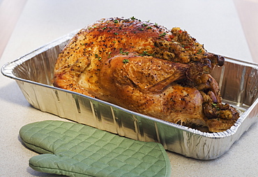 Close up of Thanksgiving turkey in pan